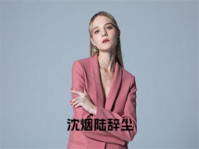 沈烟陆辞尘抖音近期热门小说-沈烟陆辞尘完结版在线阅读