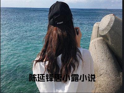 陈延锋唐小露（陈延锋唐小露）全文免费阅读无弹窗大结局_陈延锋唐小露最新章节列表_笔趣阁（陈延锋唐小露）