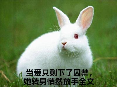 柯北臣蓝琥珀（当爱只剩下了囚禁，她转身悄然放手）全文免费阅读无弹窗大结局_(柯北臣蓝琥珀)当爱只剩下了囚禁，她转身悄然放手免费阅读无弹窗最新章节列表_笔趣阁（当爱只剩下了囚禁，她转身悄然放手）