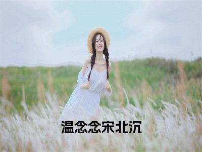 温念念宋北沉小说免费阅读无弹窗-温念念宋北沉（温念念宋北沉）小说免费阅读无弹窗大结局