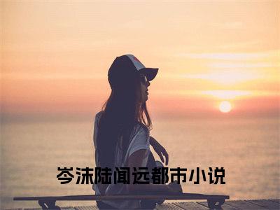 (岑沫陆闻远)最新章节在线阅读-小说无弹窗免费阅读