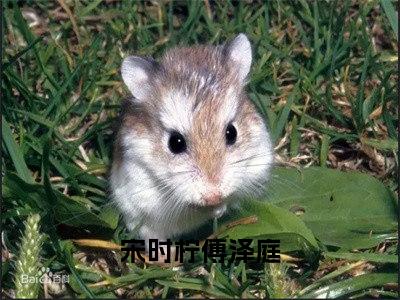 宋时柠傅泽庭（宋时柠傅泽庭）全文免费阅读无弹窗大结局_（宋时柠傅泽庭免费阅读无弹窗）宋时柠傅泽庭最新章节列表_笔趣阁