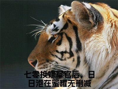 七零换嫁军官后，日日泡在蜜罐全文免费阅读_（桑悦宋境免费阅读无弹窗）七零换嫁军官后，日日泡在蜜罐最新章节列表笔趣阁