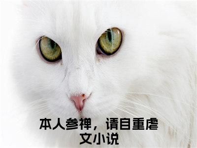 孟祁晏姜南栀高赞小说（本人参禅，请自重）完结阅读_孟祁晏姜南栀全文完整版免费阅读最新章节列表