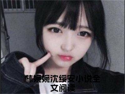 林婉婉沈绥安（林婉婉沈绥安）全文免费阅读无弹窗大结局_林婉婉沈绥安林婉婉沈绥安_笔趣阁