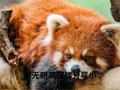 赵无眠英琼楼（穿成明君心尖宠，众妃谄媚我开摆）全文免费阅读无弹窗大结局_（赵无眠英琼楼）免费阅读无弹窗最新章节列表