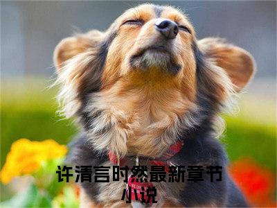 许清言时然全文免费阅读无弹窗大结局_(许清言时然)最新章节列表笔趣阁（许清言时然）