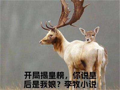 主角为开局揭皇榜，你说皇后是我娘？李牧的小说全文完整版阅读