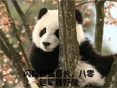 顾景明叶清桃小说（闪婚最猛首长，八零随军腰好酸）全文在线阅读无弹窗大结局顾景明叶清桃