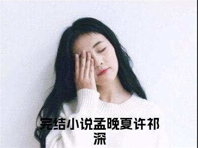 孟晚夏许祁深免费阅读(孟晚夏许祁深)小说全文免费阅读无弹窗大结局_(孟晚夏许祁深)最新章节列表_笔趣阁(孟晚夏许祁深)