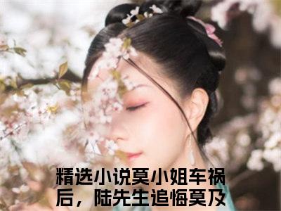 （莫小姐车祸后，陆先生追悔莫及）莫谨瑜陆景小说免费阅读-小说推荐莫谨瑜陆景精彩章节在线阅读