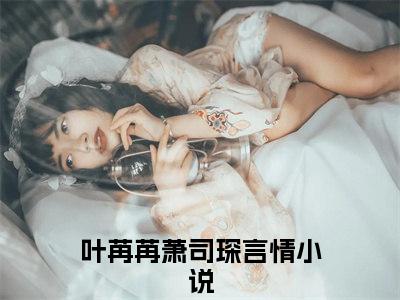 亿万萌宝老婆大人哪里跑（叶苒苒萧司琛）小说最新推荐-叶苒苒萧司琛亿万萌宝老婆大人哪里跑小说在线分享