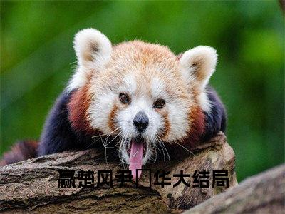 赢楚风尹玥华（赢楚风尹玥华）全文免费阅读无弹窗大结局_(赢楚风尹玥华)最新章节列表_笔趣阁