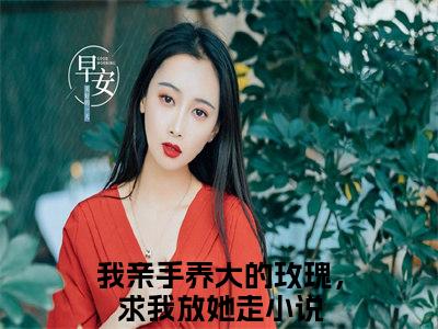 （我亲手养大的玫瑰，求我放她走）是什么小说-（宁玫宁淮）无弹窗免费阅读大结局最新章节列表_笔趣阁