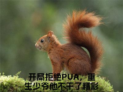 楚子业楚安尘全文免费阅读无弹窗大结局-开局拒绝PUA，重生少爷他不干了全文在线阅读