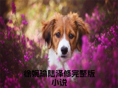 徐婉瑜陆泽修是哪部小说的主角-（徐婉瑜陆泽修）全文无弹窗完整版阅读