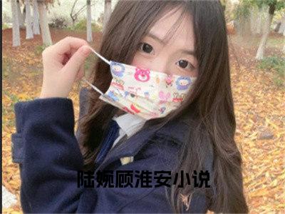 陆婉顾淮安（陆婉顾淮安）全文免费阅读_陆婉顾淮安最新章节列表言情小说在线阅读