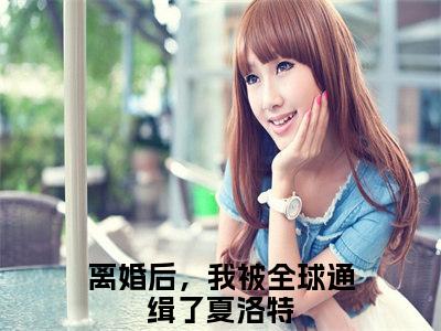 离婚后，我被全球通缉了夏洛特全文最新章节正版小说免费阅读