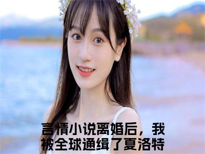 离婚后，我被全球通缉了夏洛特全文免费完整版-离婚后，我被全球通缉了夏洛特小说阅读