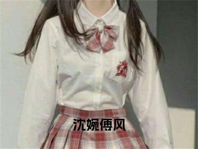 沈婉傅风书名是《沈婉傅风》在线赏析_沈婉傅风txt小说阅读_沈婉傅风在线阅读笔趣阁