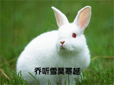 （热推新书）《八零大佬猛猛宠，娇娇女医扛不住》全文免费阅读无弹窗大结局-乔听雪莫寒越无弹窗阅读