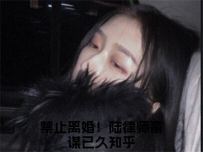 禁止离婚！陆律师蓄谋已久全文免费阅读无弹窗大结局_（禁止离婚！陆律师蓄谋已久阅读无弹窗）华浓陆敬安最新章节列表_笔趣阁（华浓陆敬安）