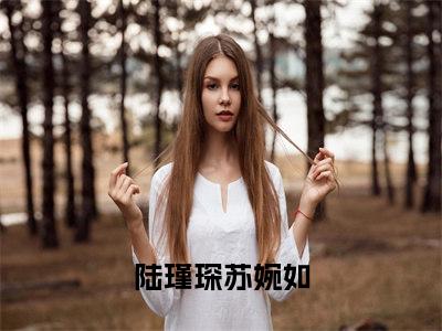 满分小说（陆瑾琛苏婉如）全文免费阅读 陆瑾琛苏婉如言情小说讲的是什么