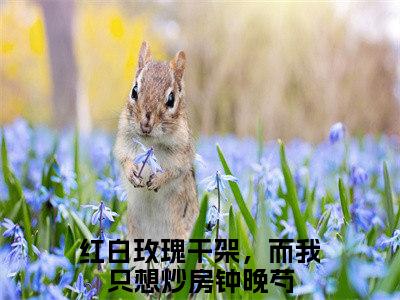 红白玫瑰干架，而我只想炒房钟晚芍小说叫什么名字（红白玫瑰干架，而我只想炒房钟晚芍）完整版大结局-红白玫瑰干架，而我只想炒房钟晚芍小说在线阅读