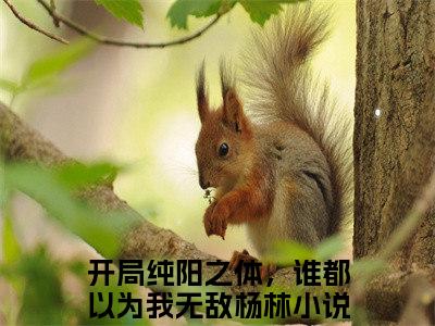 开局纯阳之体，谁都以为我无敌杨林小说推荐-开局纯阳之体，谁都以为我无敌杨林在线阅读全文