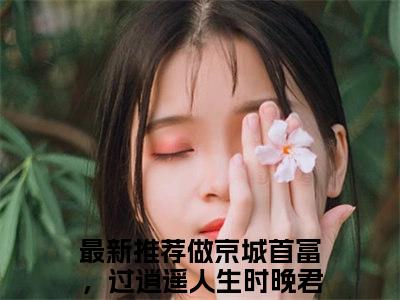 做京城首富，过逍遥人生时晚君（做京城首富，过逍遥人生时晚君）全文无弹窗阅读-精彩小说做京城首富，过逍遥人生时晚君