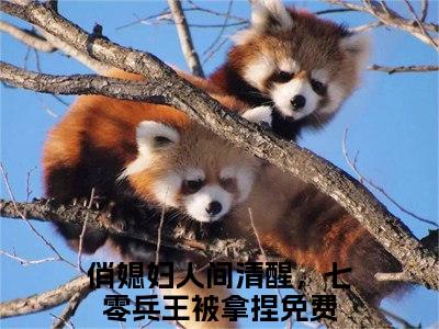 厉谨言苏璃（俏媳妇人间清醒，七零兵王被拿捏）全文免费阅读-厉谨言苏璃（俏媳妇人间清醒，七零兵王被拿捏）最新章节小说阅读