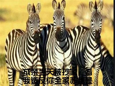 成亲当天被抄家，看我造反你全家苏越全文免费阅读无弹窗大结局_成亲当天被抄家，看我造反你全家苏越免费阅读最新章节列表_笔趣阁（成亲当天被抄家，看我造反你全家苏越）