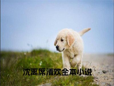 沈离席清欢全文免费阅读无弹窗大结局-沈离席清欢(沈离席清欢小说)最新章节-笔趣阁