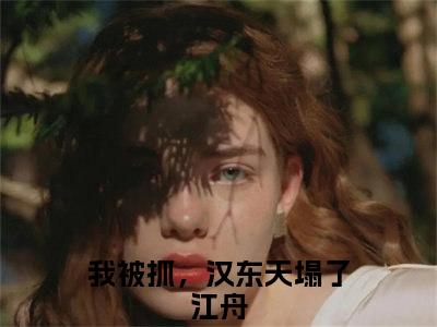 我被抓，汉东天塌了江舟小说小说全集免费阅读 我被抓，汉东天塌了江舟章节目录