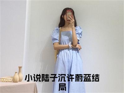 陆子沉许蔚蓝小说全文-陆子沉许蔚蓝小说陆子沉许蔚蓝免费阅读大结局