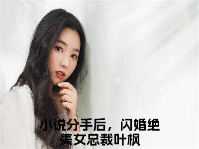 分手后，闪婚绝美女总裁叶枫（分手后，闪婚绝美女总裁叶枫）热门小说盘点在线阅读-分手后，闪婚绝美女总裁叶枫小说无弹窗