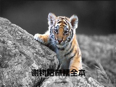 谢钧阳林糯（谢钧阳林糯）小说全文无删减-谢钧阳林糯小说免费阅读大结局