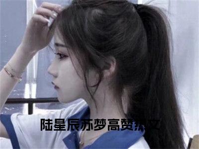 女生看的小说推荐陆星辰苏梦-陆星辰苏梦小说免费阅读