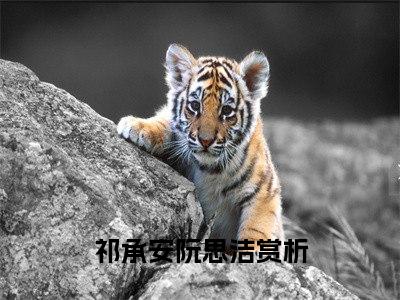 祁承安阮思洁（祁承安阮思洁）全文免费阅读无弹窗大结局_(祁承安阮思洁最新章节在线阅读)_笔趣阁