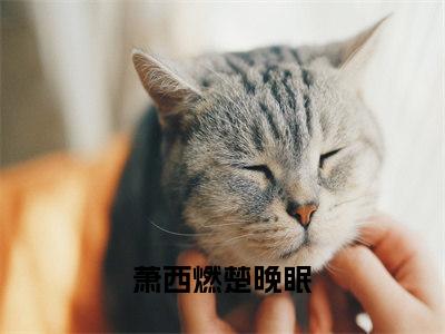 萧西燃楚晚眠全文免费阅读无弹窗大结局_萧西燃楚晚眠全文免费无弹窗最新章节列表_笔趣阁