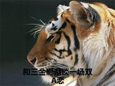 主角是宴萧的小说-和三金影帝谈一场双A恋全文无弹窗免费阅读