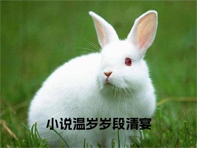 温岁岁段清宴（温岁岁段清宴最新全章节大结局）全文阅读