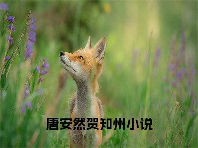 小说名字是：唐安然贺知州的小说全文免费阅读-（唐安然贺知州小说免费阅读）唐安然贺知州正版小说免费阅读_笔趣阁