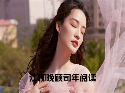 江柳晚顾司年小说-江柳晚顾司年全文免费阅读