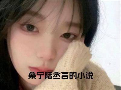 桑宁陆丞言（桑宁陆丞言）小说全文免费阅读_（桑宁陆丞言）小说全文无删减版在线阅读