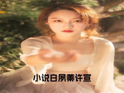 白夙蓁许宣（白夙蓁许宣）小说全文免费阅读正版无弹窗，白夙蓁许宣免费阅读