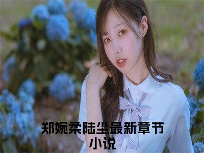 郑婉柔陆尘全文免费阅读无弹窗大结局-郑婉柔陆尘最新章节免费阅读