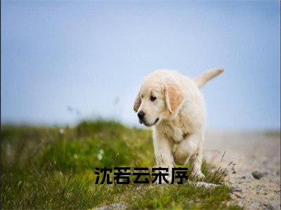 精选好书沈若云宋序无弹窗免费阅读-（沈若云宋序）完整版全文在线赏析