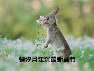 楚汐月江沉（楚汐月江沉）小说全文-楚汐月江沉无弹窗免费阅读