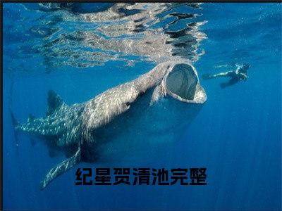 纪星贺清池（纪星贺清池）小说全文免费阅读正版无弹窗 纪星贺清池全文无弹窗阅读